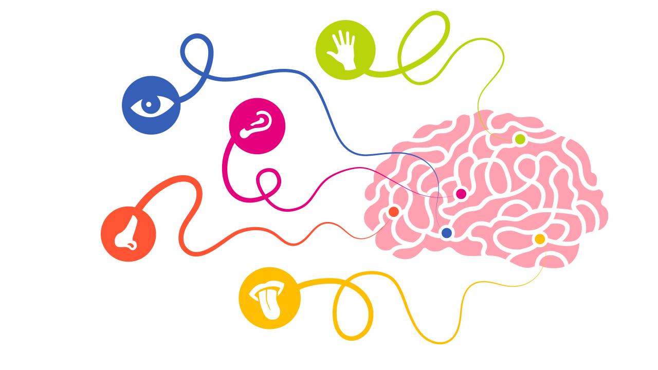 Chiropractic Affects Your Brain